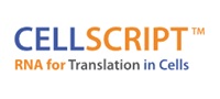 Cellscript's Company Logo