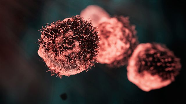 Close-up 3D rendering of cancer cells highlighting surface detail relevant to cell signaling. 