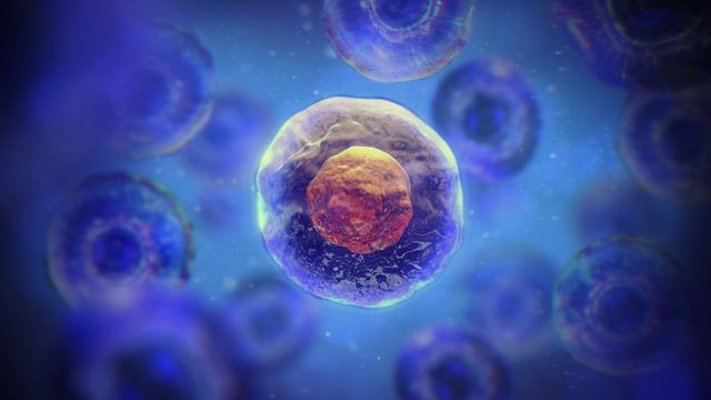 Conceptual illustration representing advances in 3D spheroid and organoid technologies following InSphero’s acquisition of DOPPL SA and Sun Bioscience’s Gri3D® platform. 