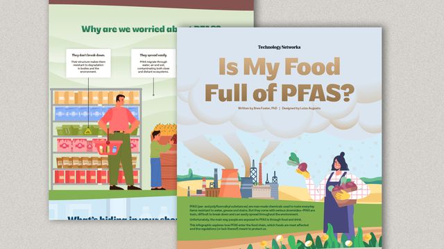 Illustrated infographic cover showing concerns about PFAS in food, with grocery and farm scenes. 