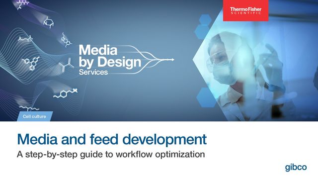 Step-by-step guide for optimizing media and feed development workflows. 