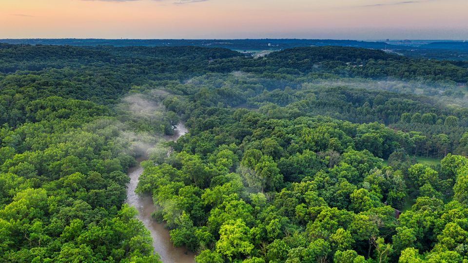 Aerial view of green forest with river running through