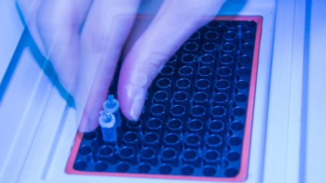 Lab technician loading tubes into a qPCR plate to represent the SureTect assay’s rapid detection of beverage spoilage organisms. 
