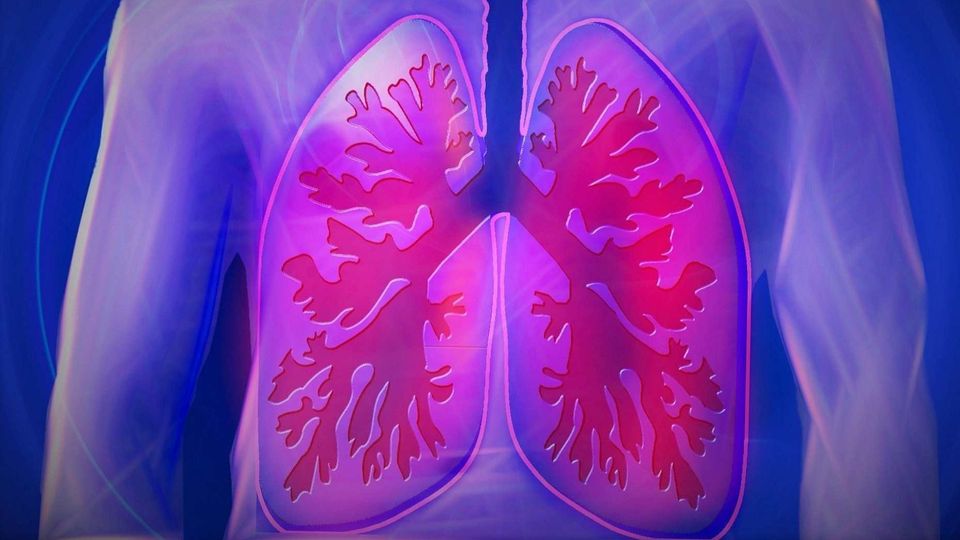 Illustration of human lungs. The lungs are red and the human body is pale pink, set against a dark blue background. 