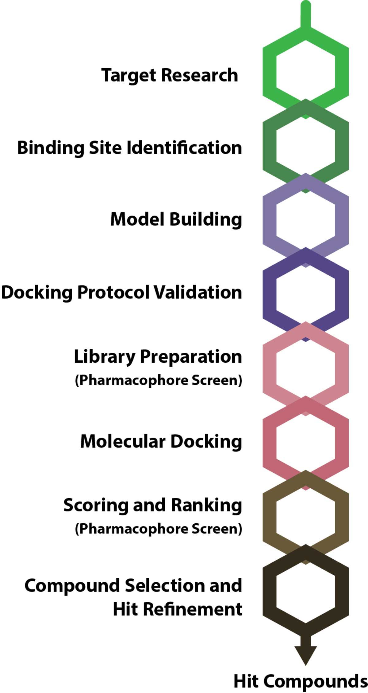 Figure 1: Typical virtual screening pipeline. Pharmacophore screening can be integrated during library preparation or scoring and ranking. Credit: Technology Networks. The steps involved in a typical virtual screening pipeline from target research to hit refinement, listed alongside colored hexagons.