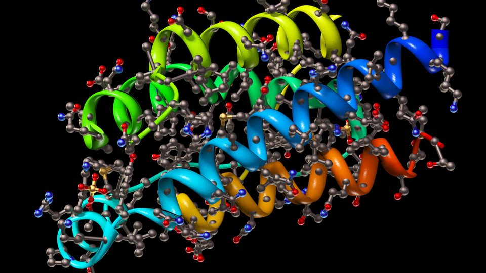 3D model of a protein structure used in virtual screening.